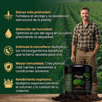 VIRESTA ACTIVADOR DE SUELO