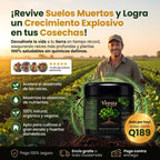 VIRESTA ACTIVADOR DE SUELO